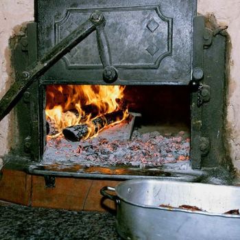 asador los trillos burgos